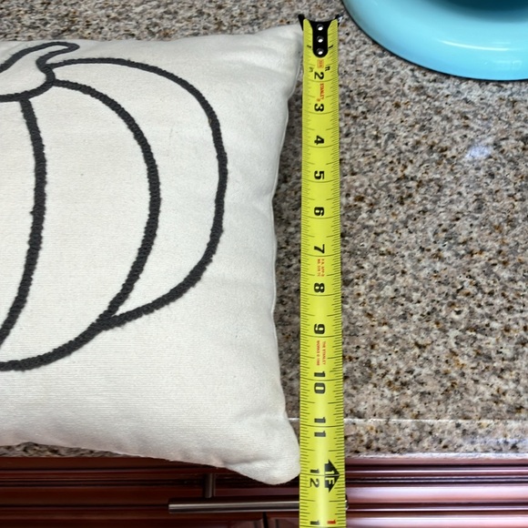 Fall pumpkin cream/gray cushion 12x12 inches - Picture 3 of 3